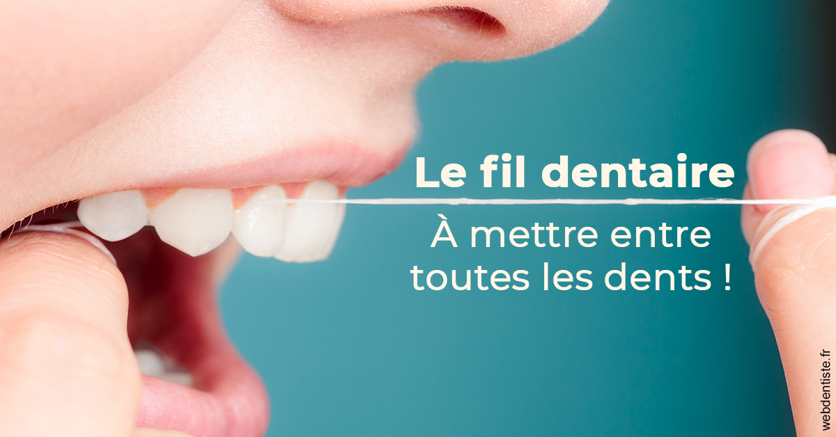 https://dr-eric-dumolard.chirurgiens-dentistes.fr/Le fil dentaire 2