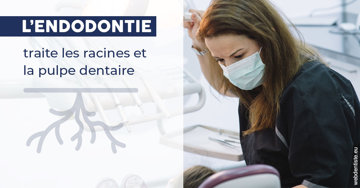 https://dr-eric-dumolard.chirurgiens-dentistes.fr/L'endodontie 1