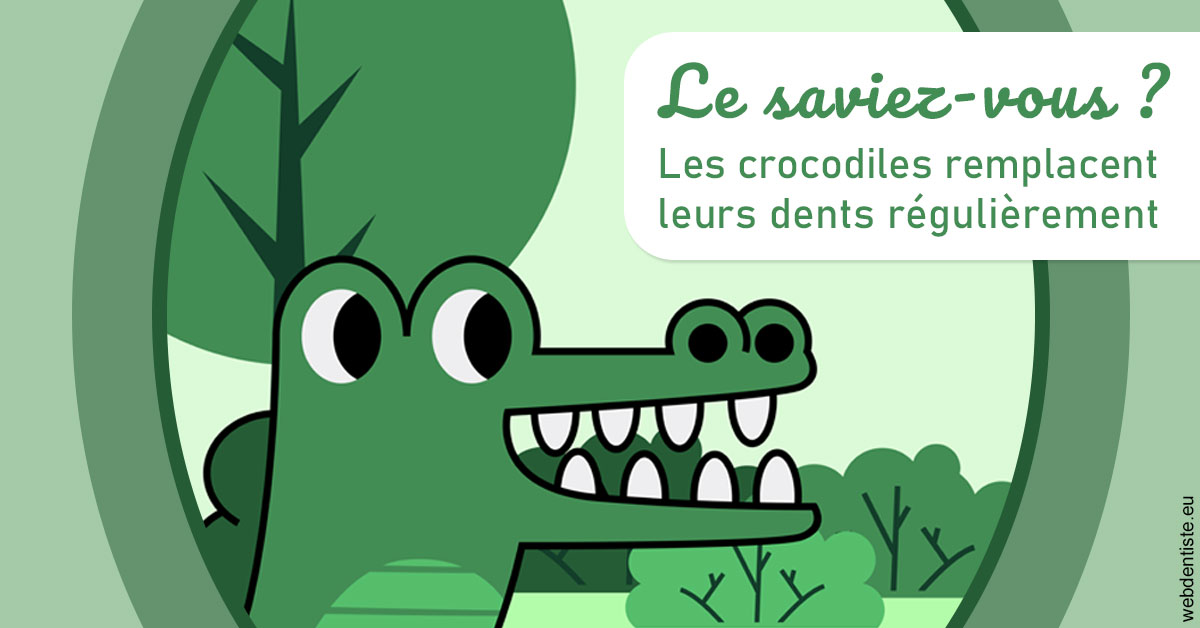 https://dr-eric-dumolard.chirurgiens-dentistes.fr/Crocodiles 2