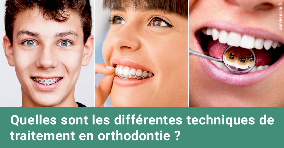 https://dr-eric-dumolard.chirurgiens-dentistes.fr/Les différentes techniques de traitement 2