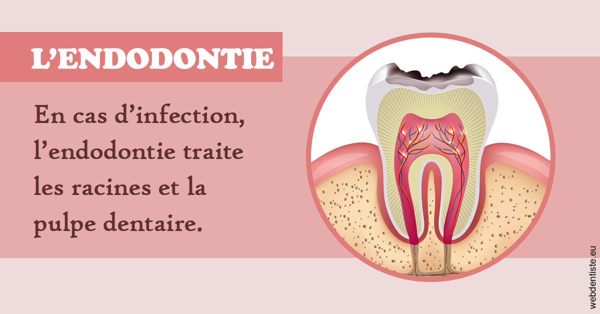 https://dr-eric-dumolard.chirurgiens-dentistes.fr/L'endodontie 2